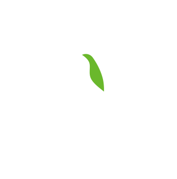 雀赴学院