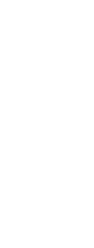 将来太美